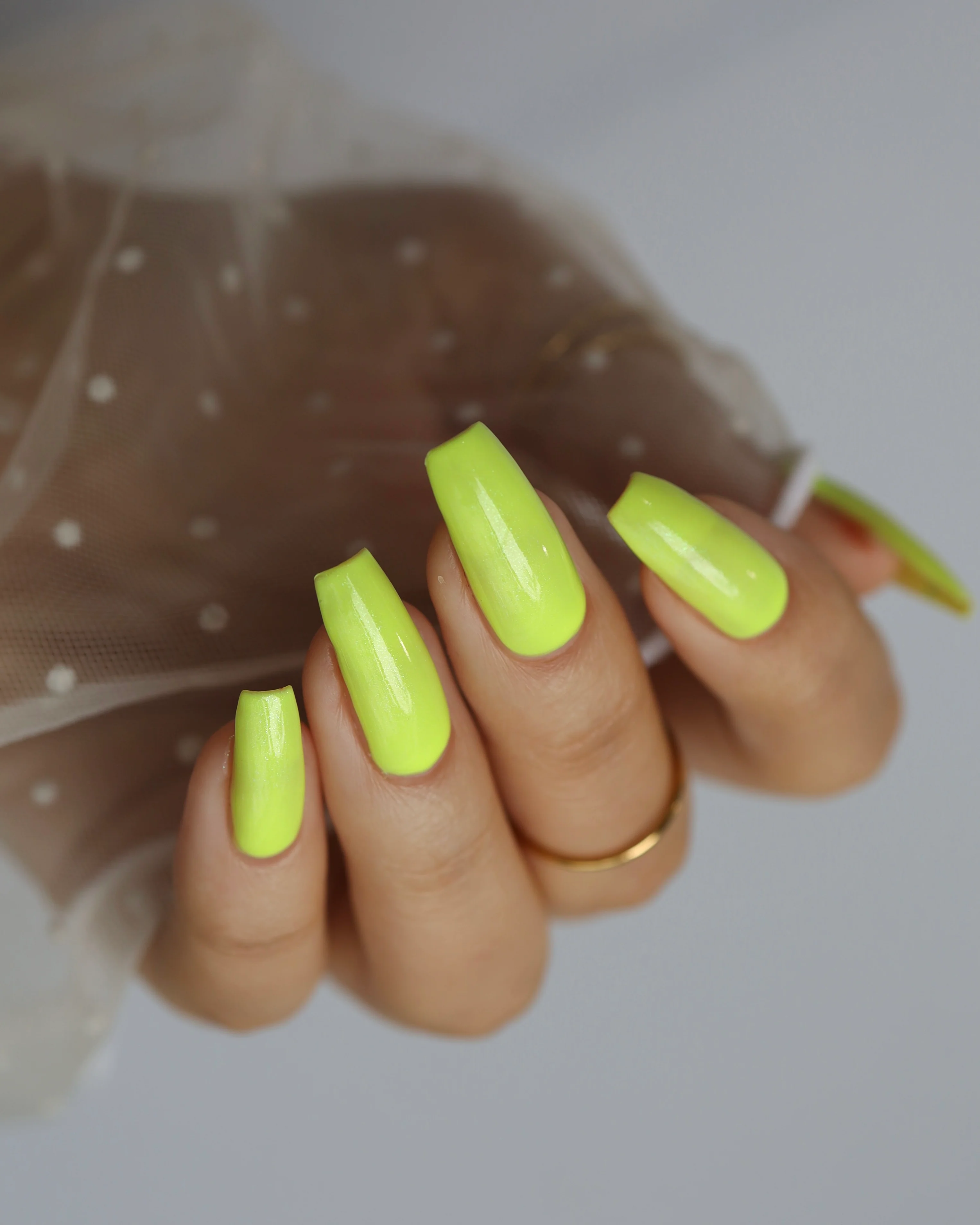 Thumbnail 29