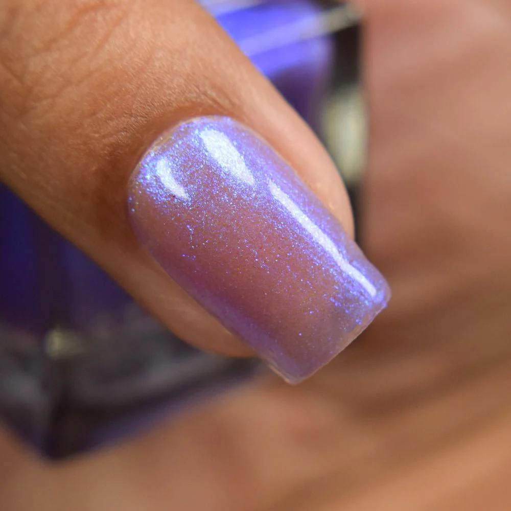Thumbnail 29