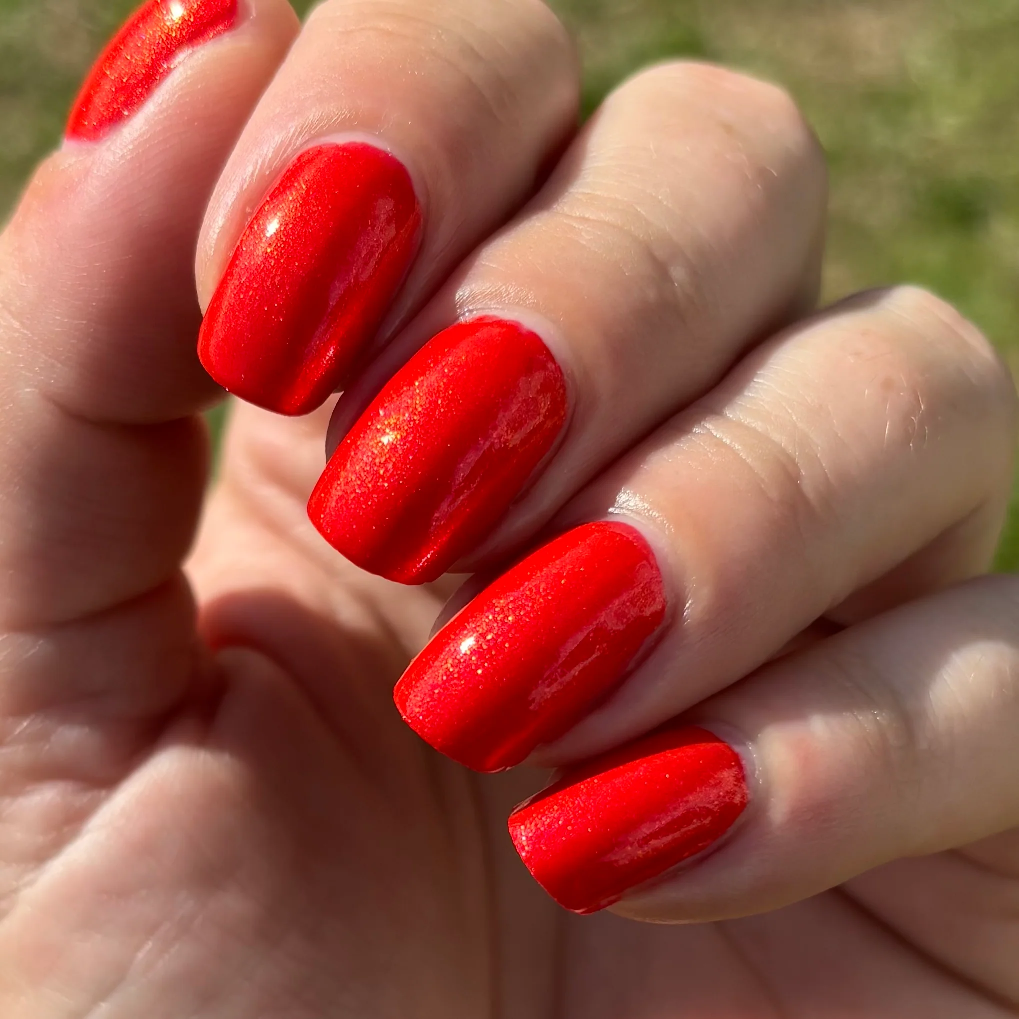 Thumbnail 11