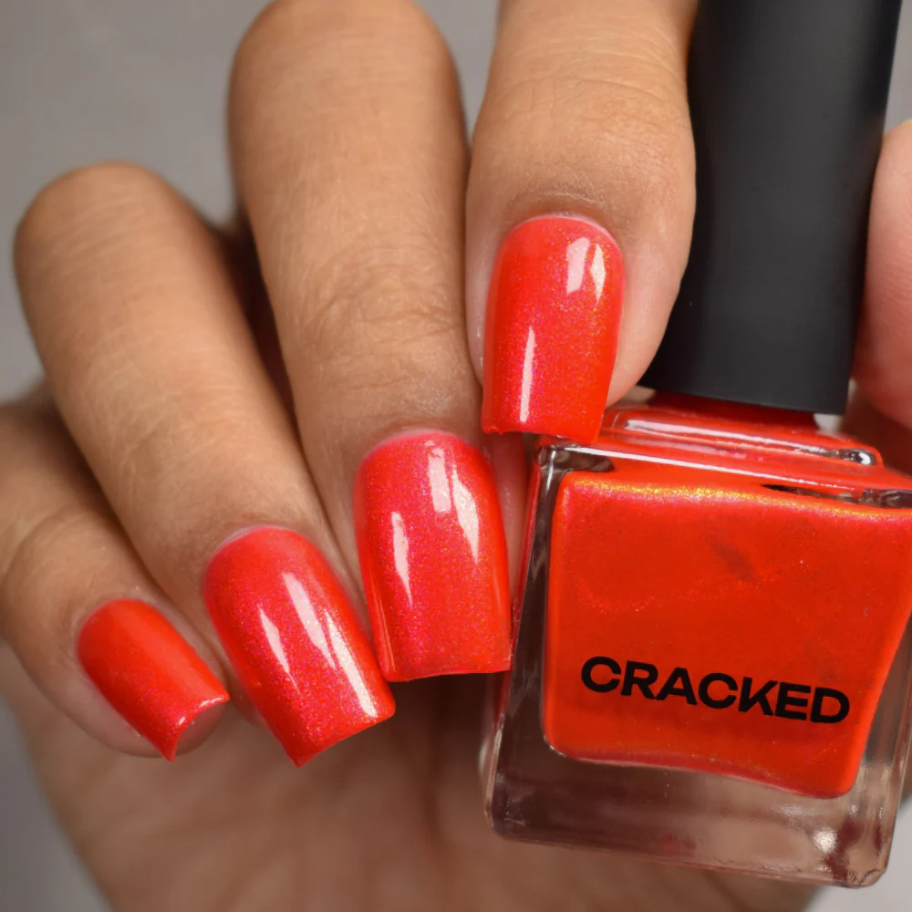 Thumbnail 13