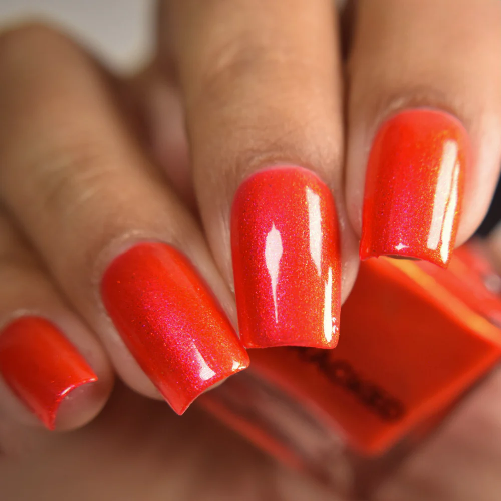 Thumbnail 31