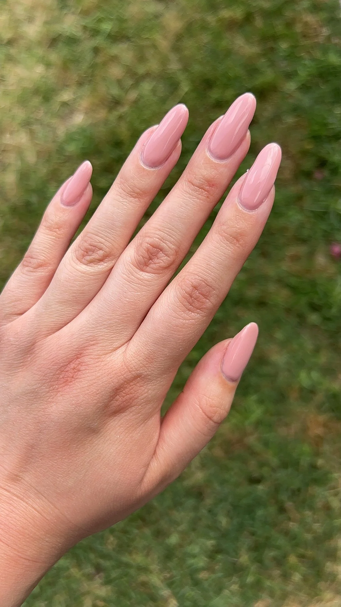 Thumbnail 14
