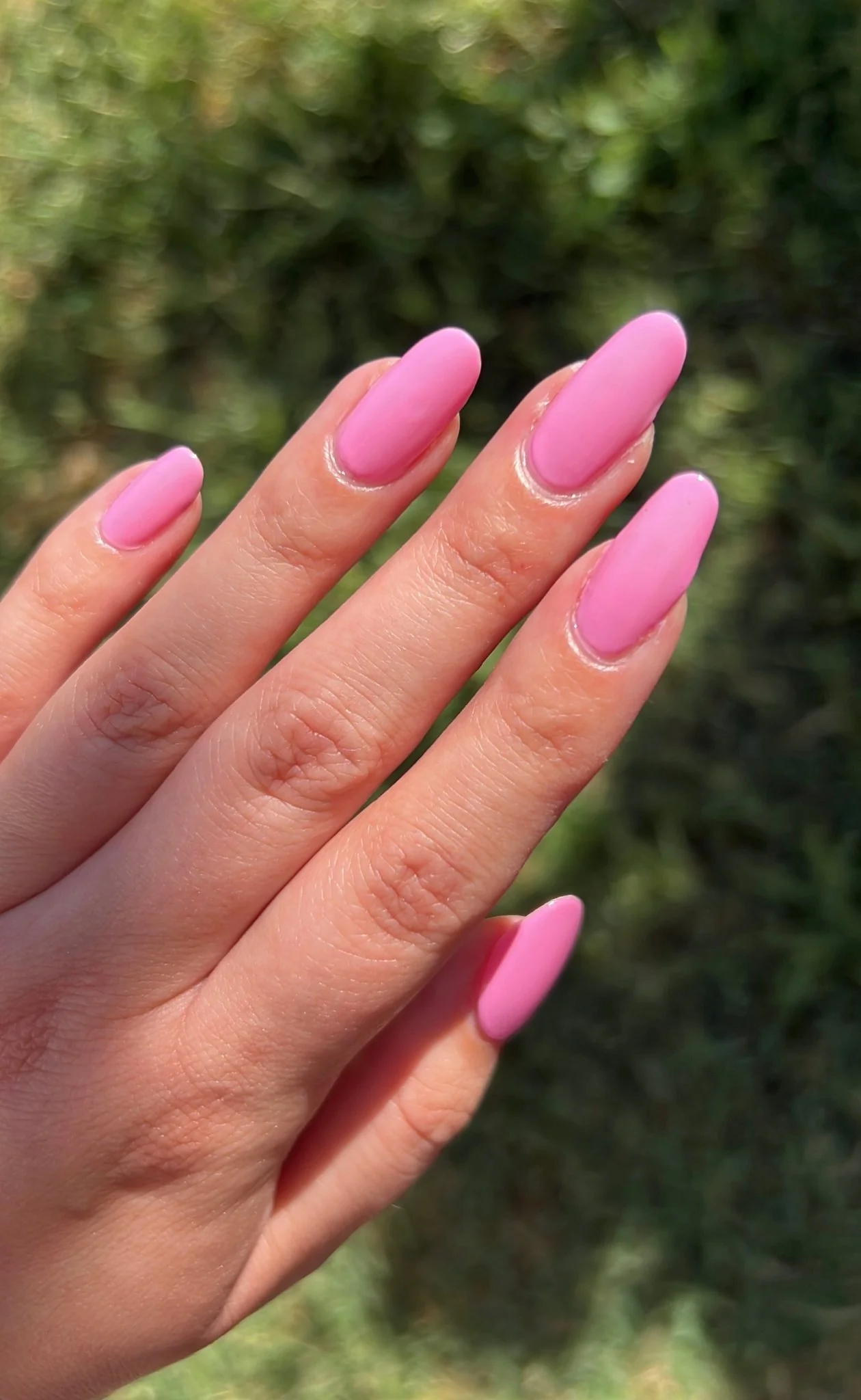 Thumbnail 18