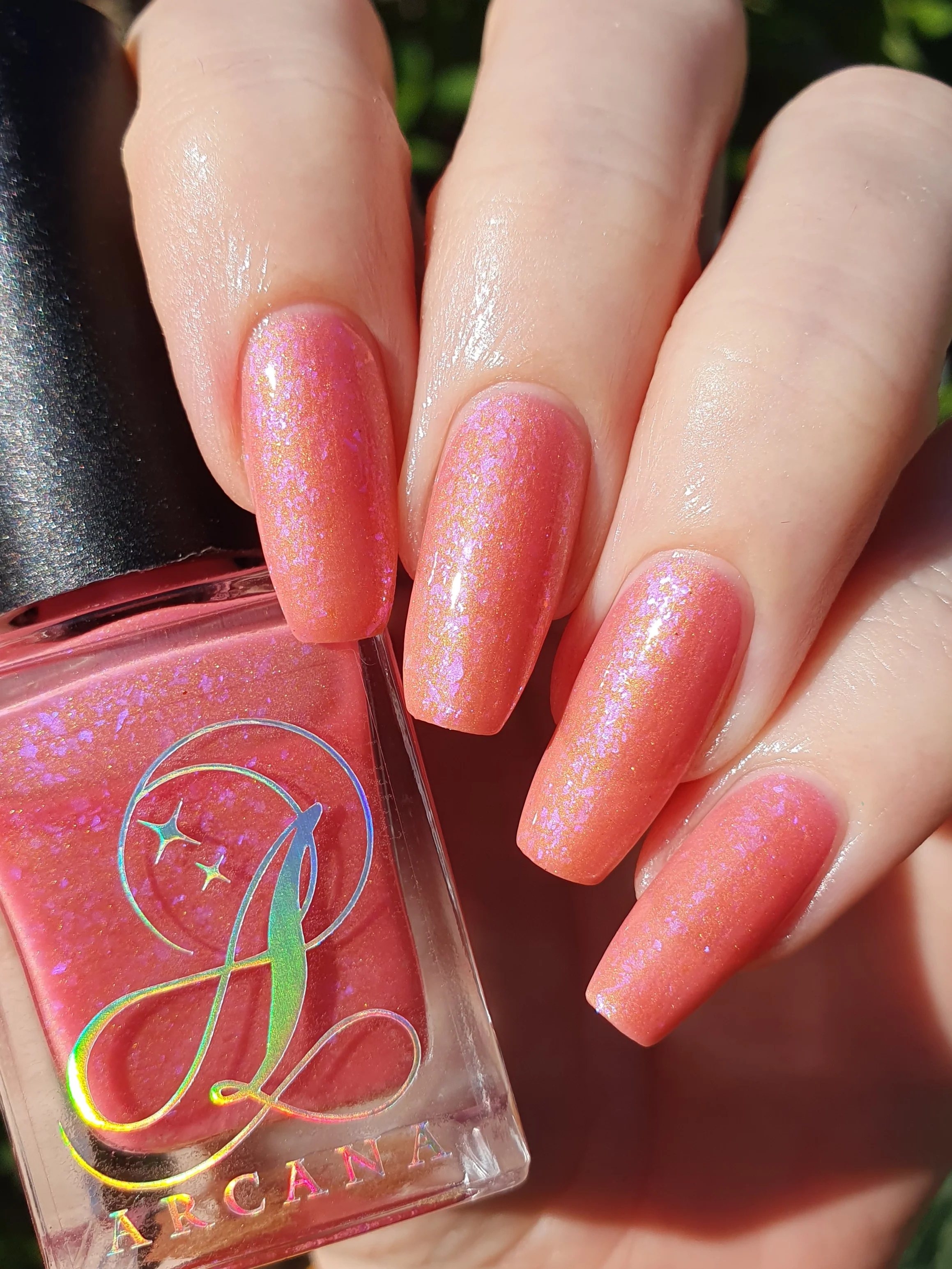 Thumbnail 13