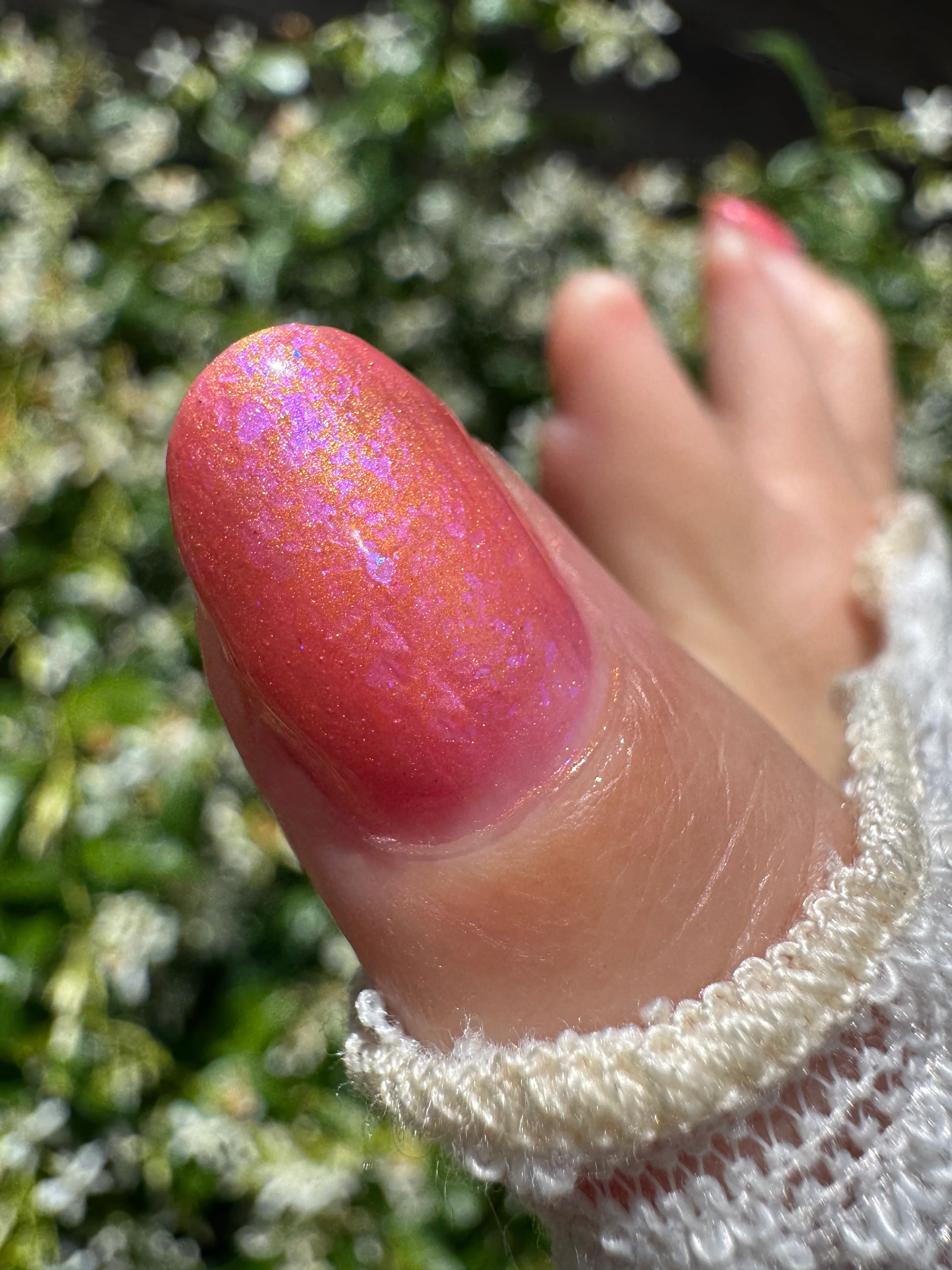 Thumbnail 29