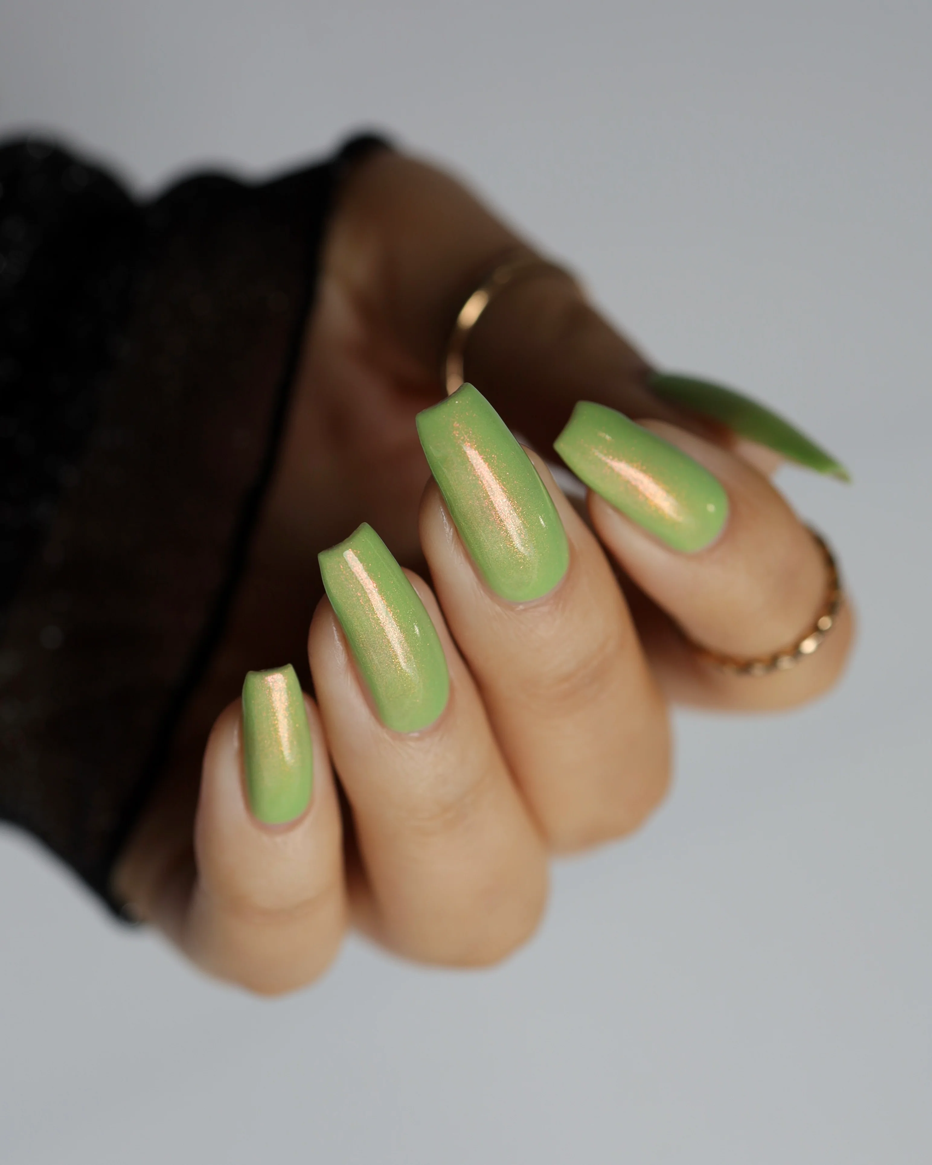 Thumbnail 12