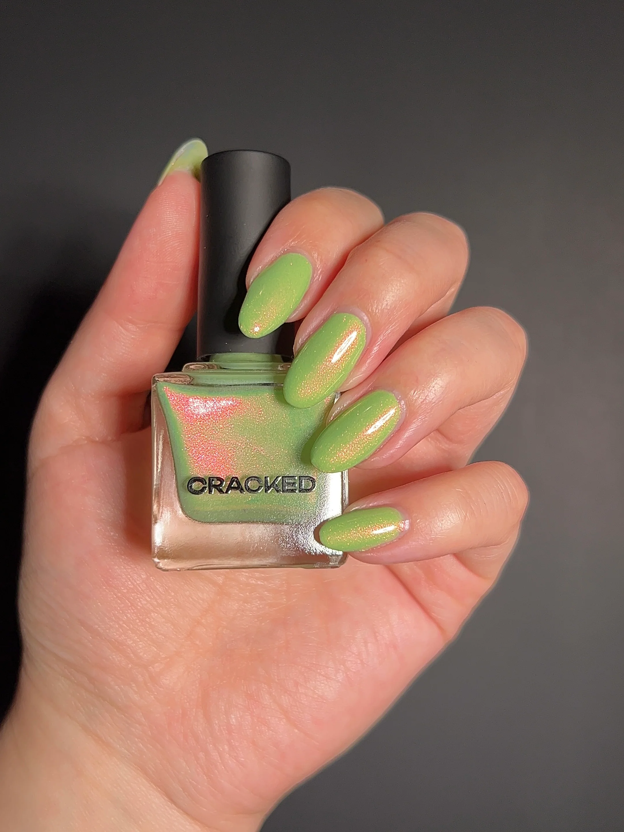 Thumbnail 15