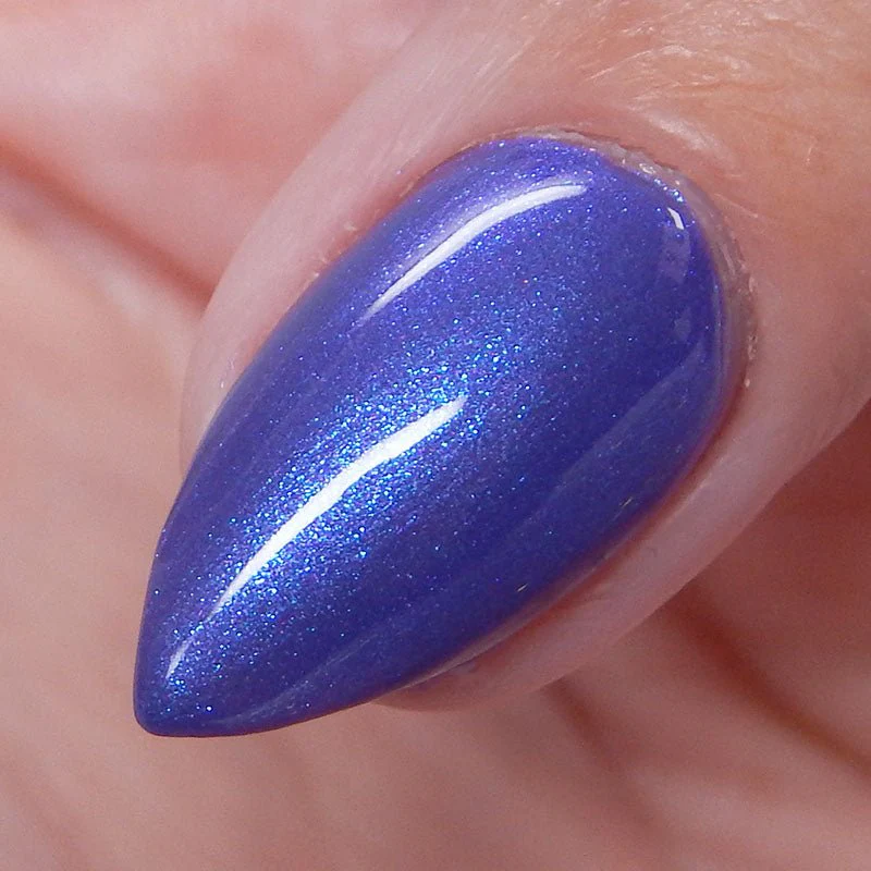Thumbnail 12