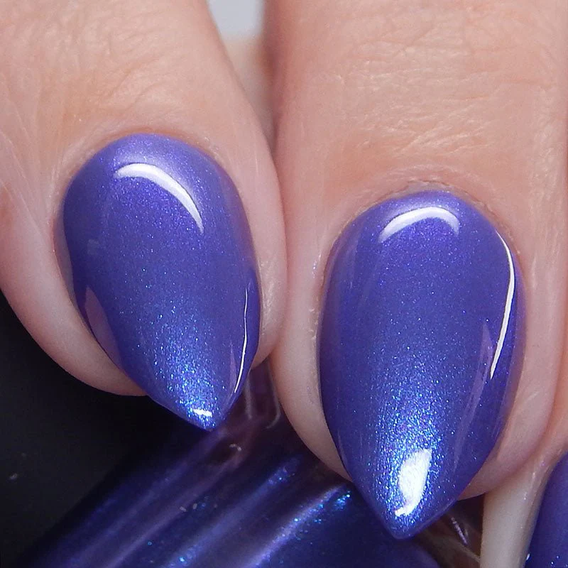 Thumbnail 23