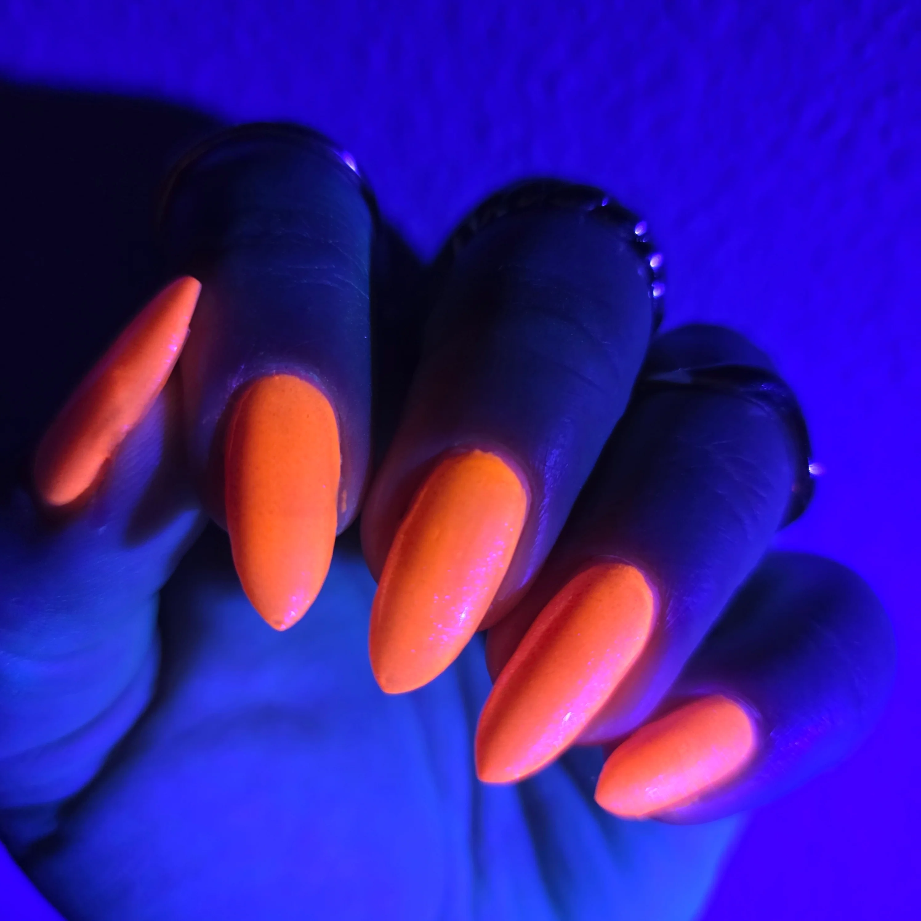 Thumbnail 11