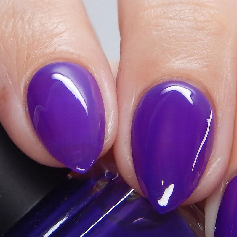 Thumbnail 10