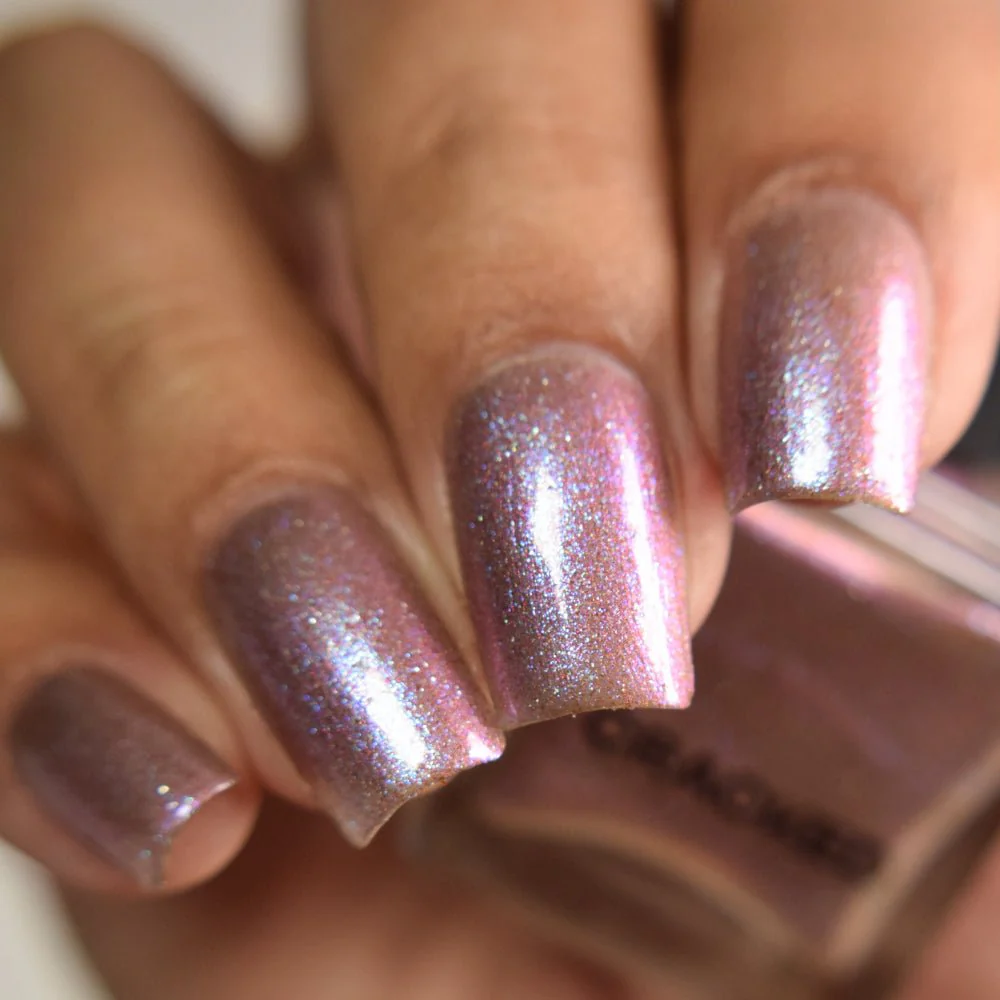 Thumbnail 15