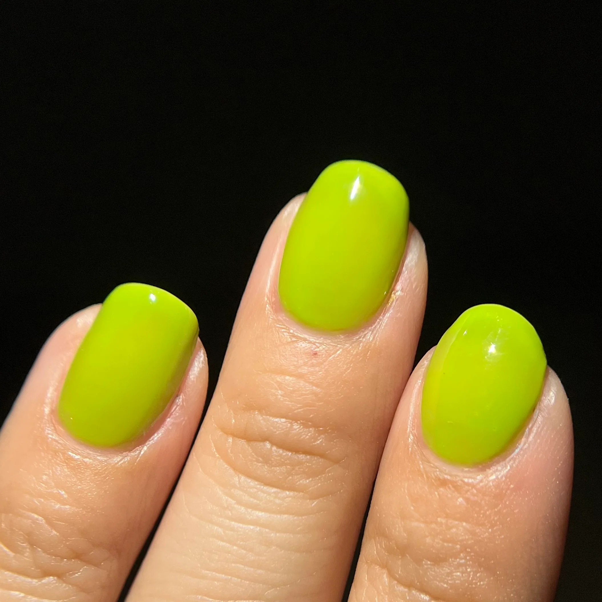Thumbnail 24