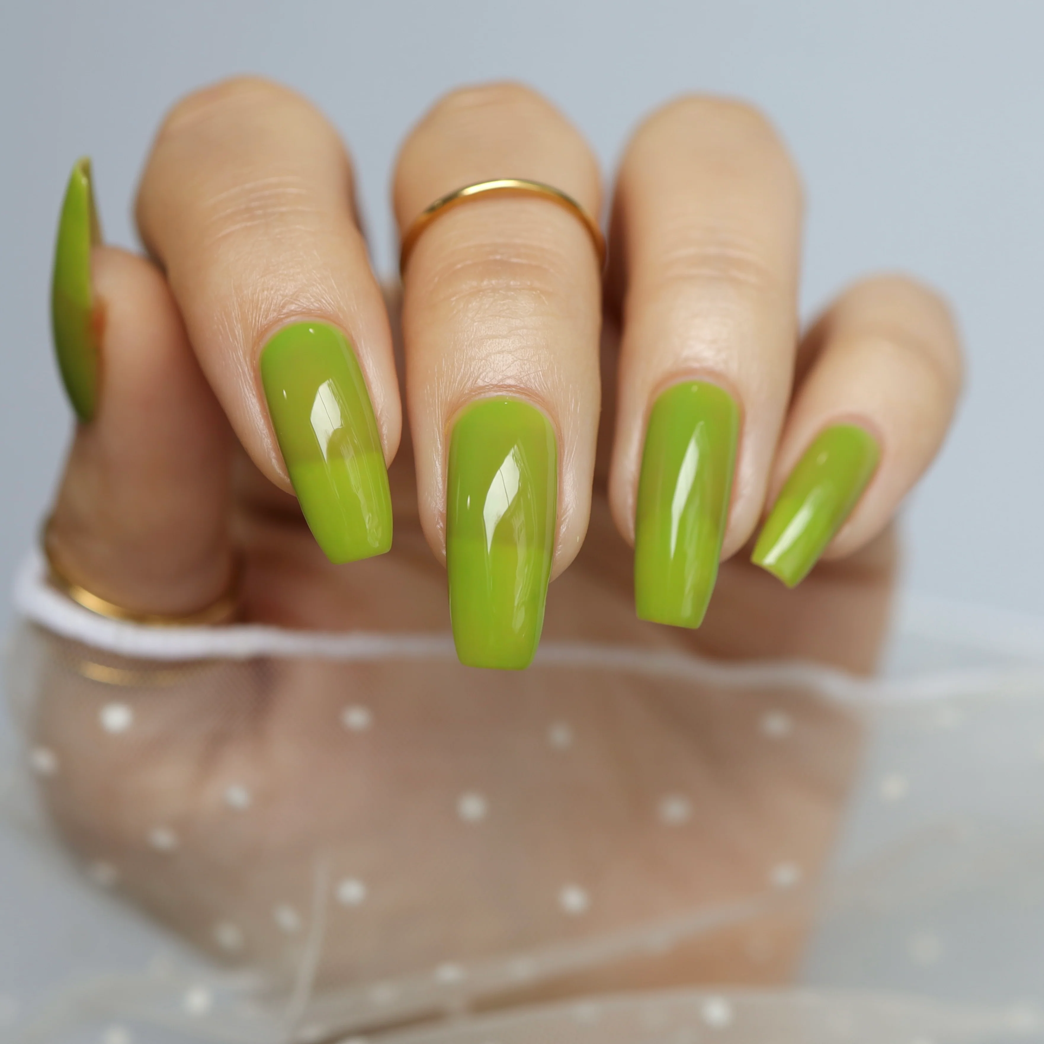 Thumbnail 29