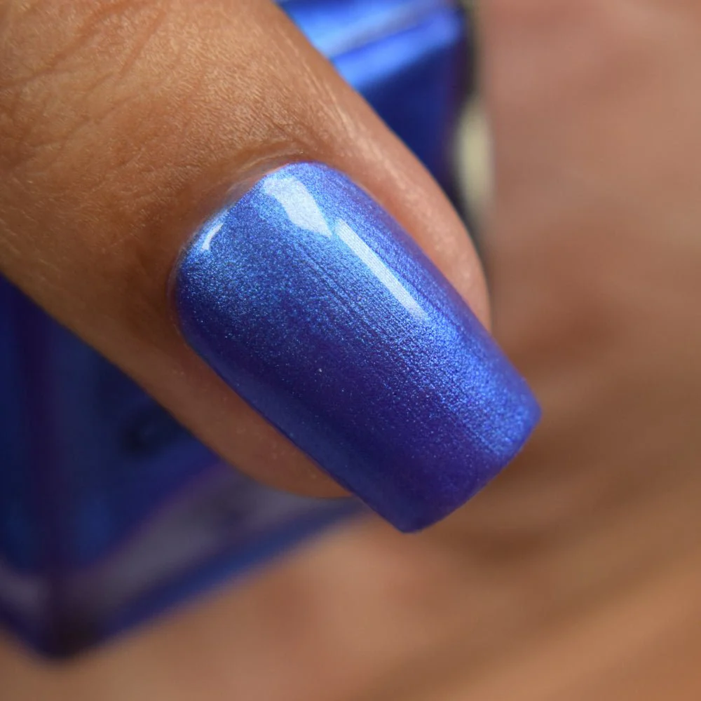 Thumbnail 31