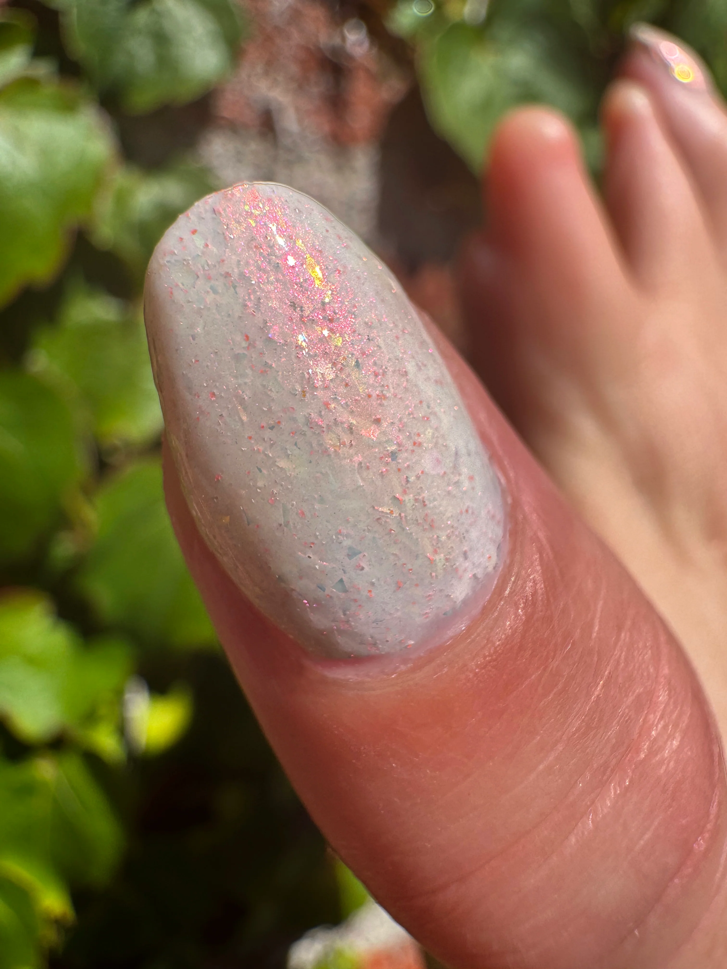 Thumbnail 28