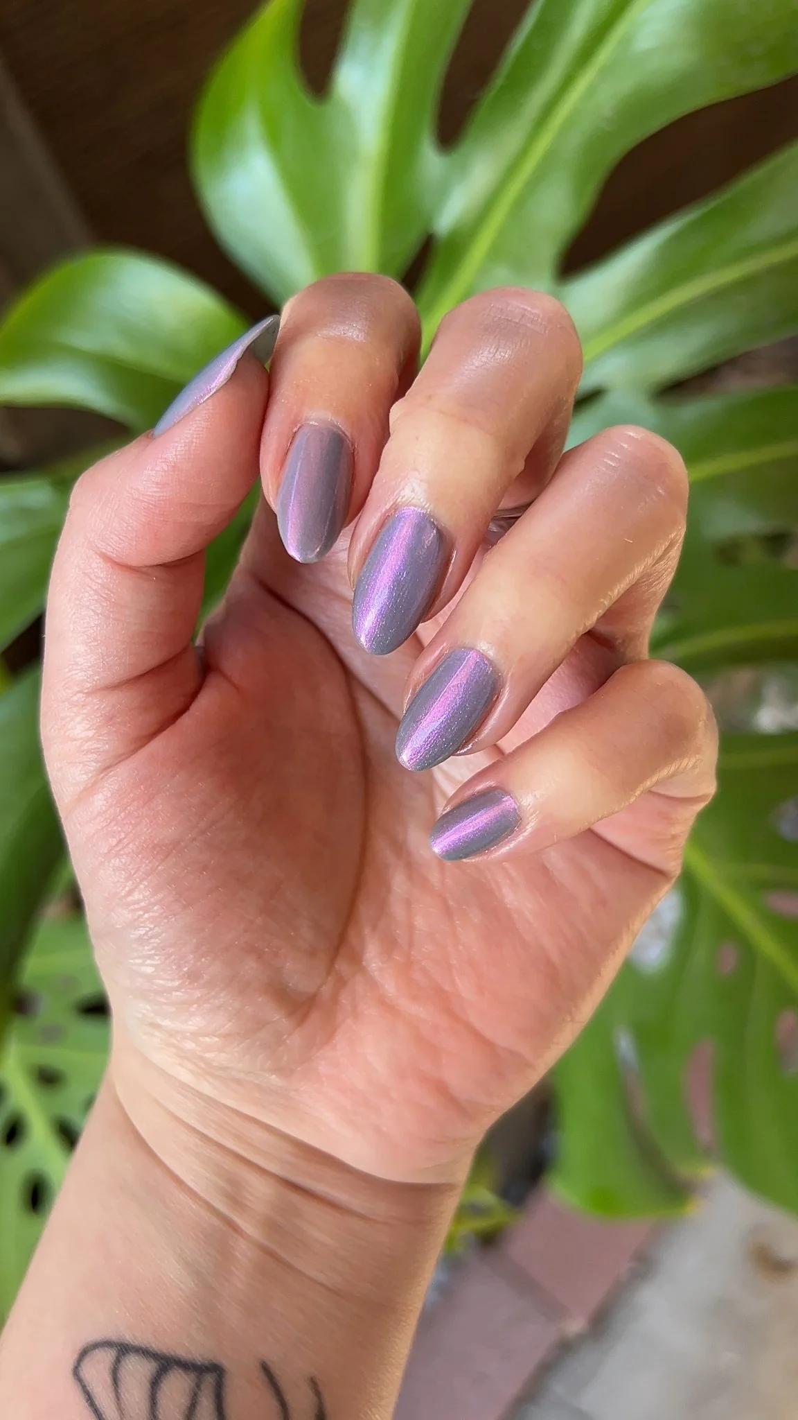 Thumbnail 55