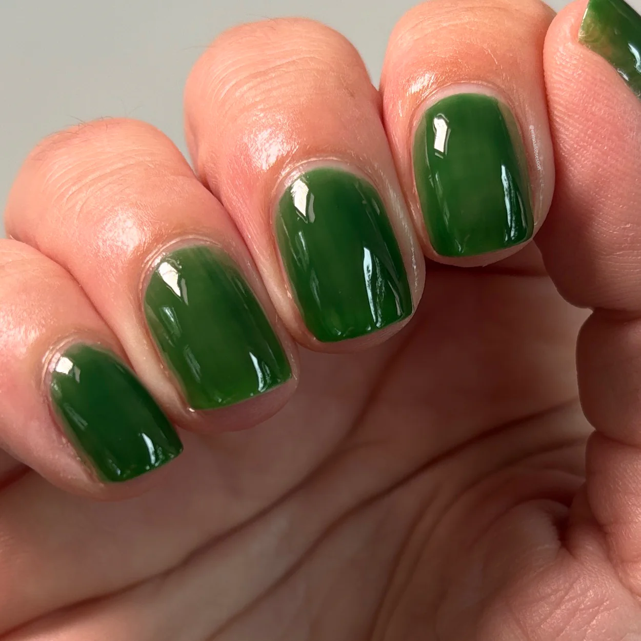 Thumbnail 19