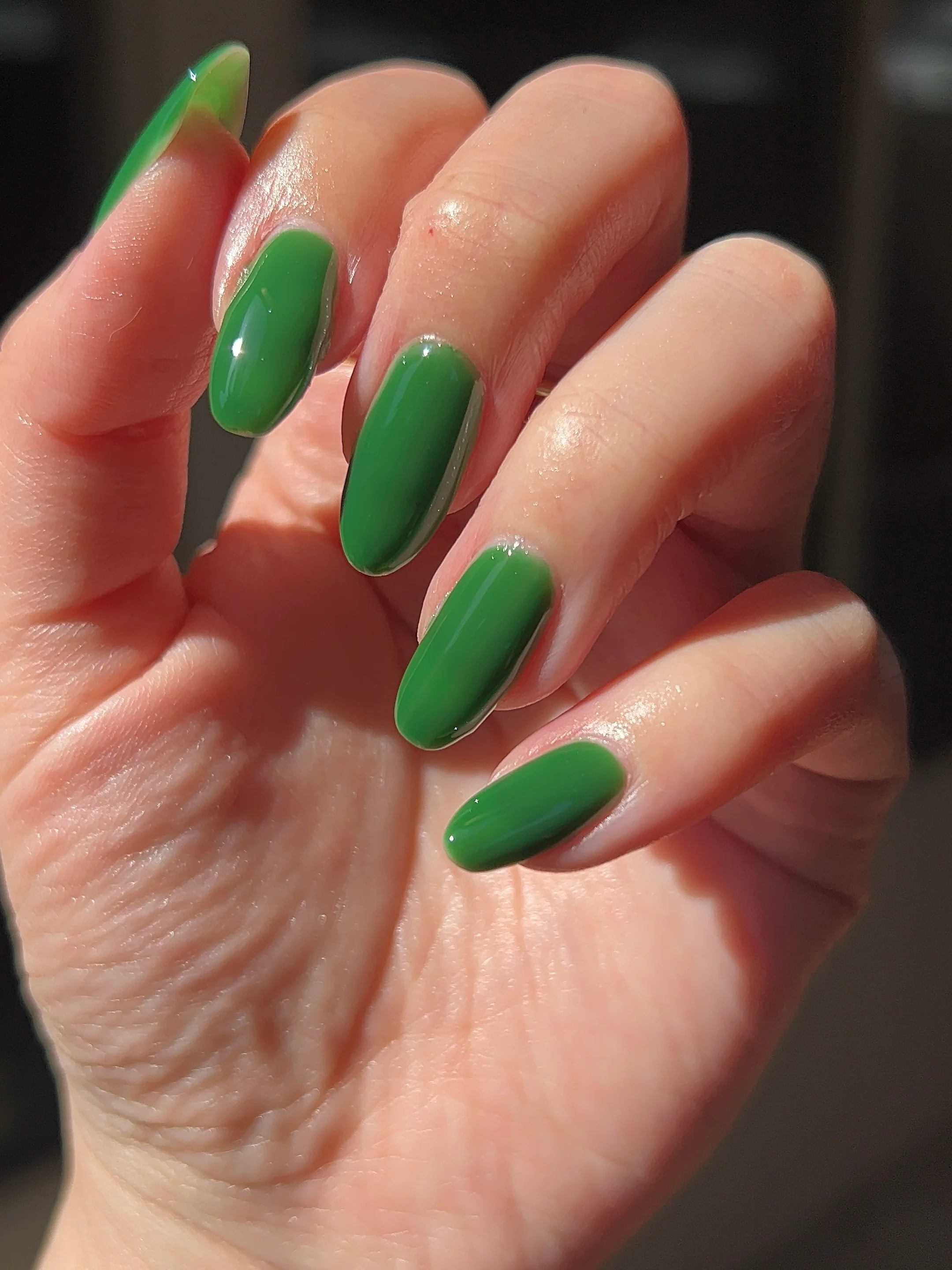Thumbnail 29