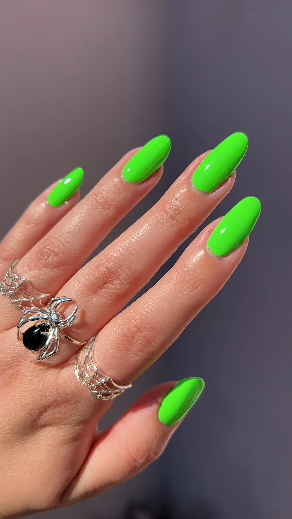 Thumbnail 16