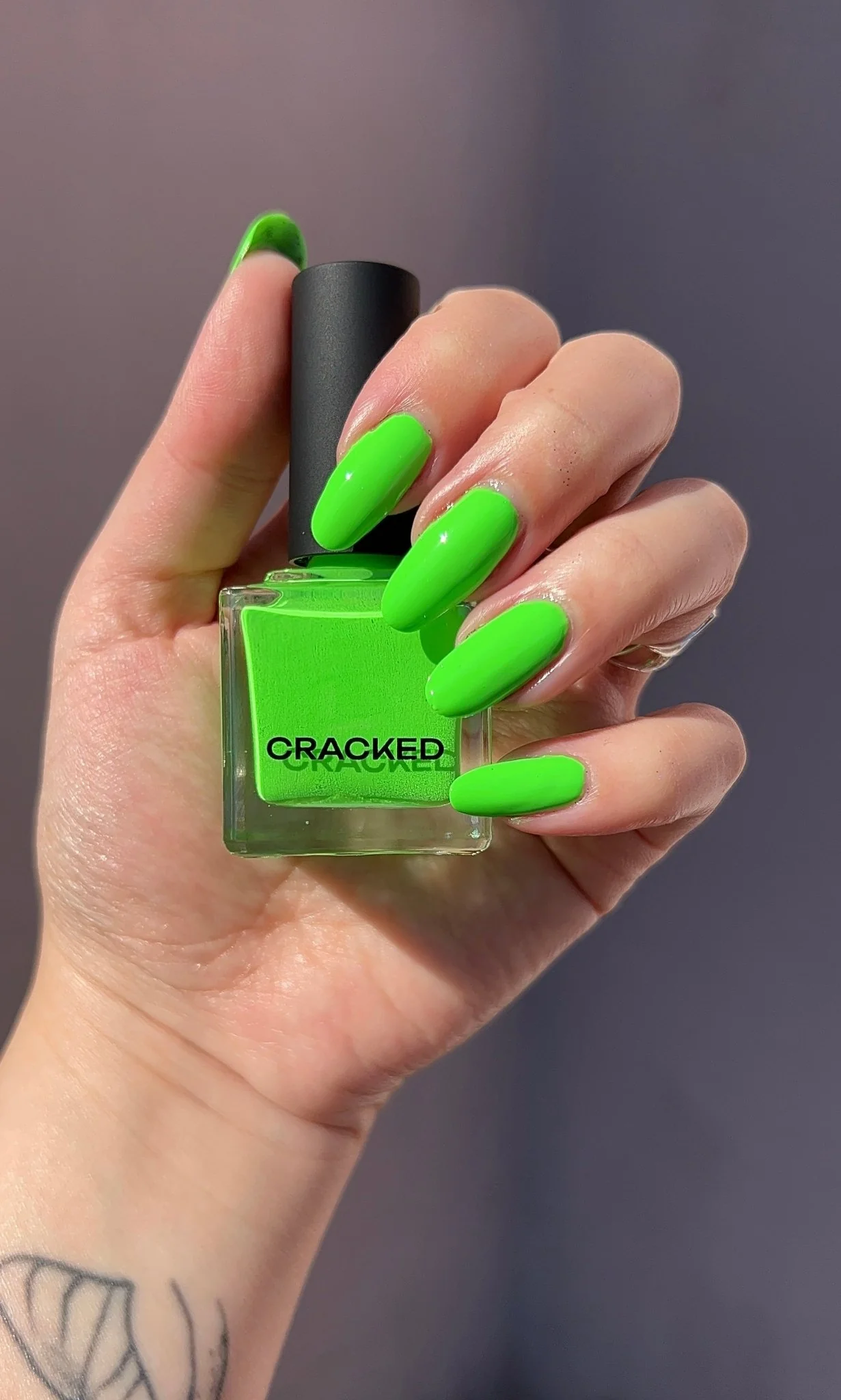 Thumbnail 20