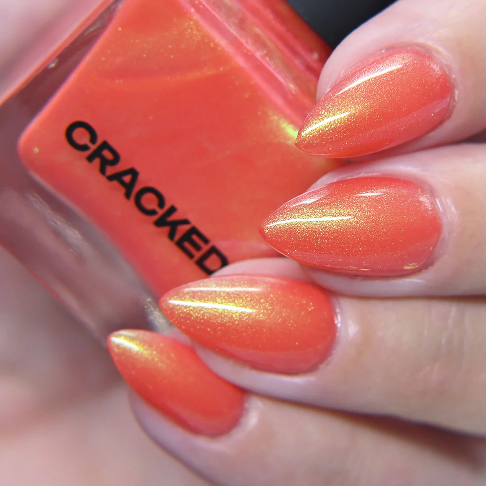 Thumbnail 23