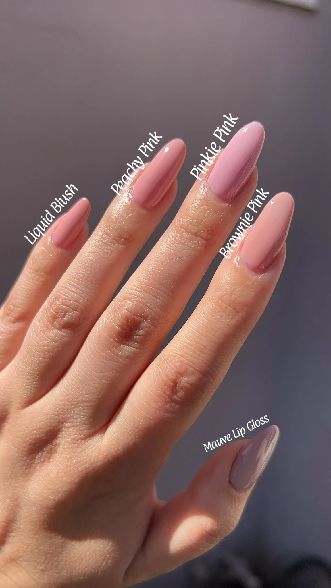 Thumbnail 25