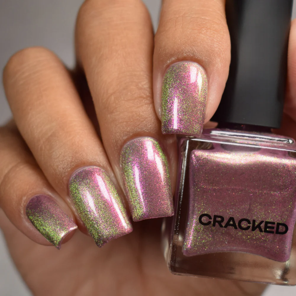 Thumbnail 13