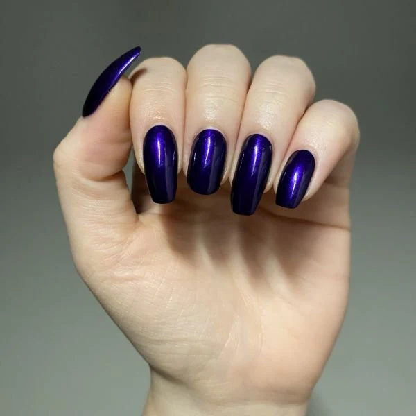 Thumbnail 12