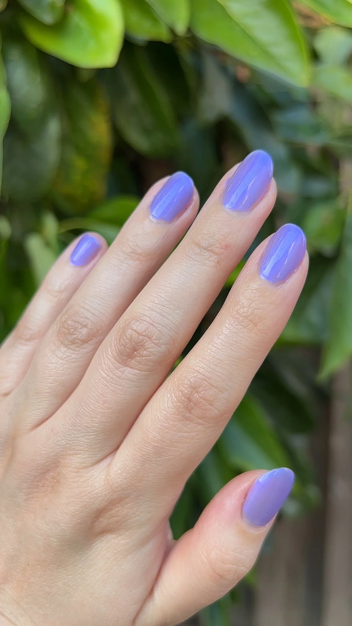 Thumbnail 28