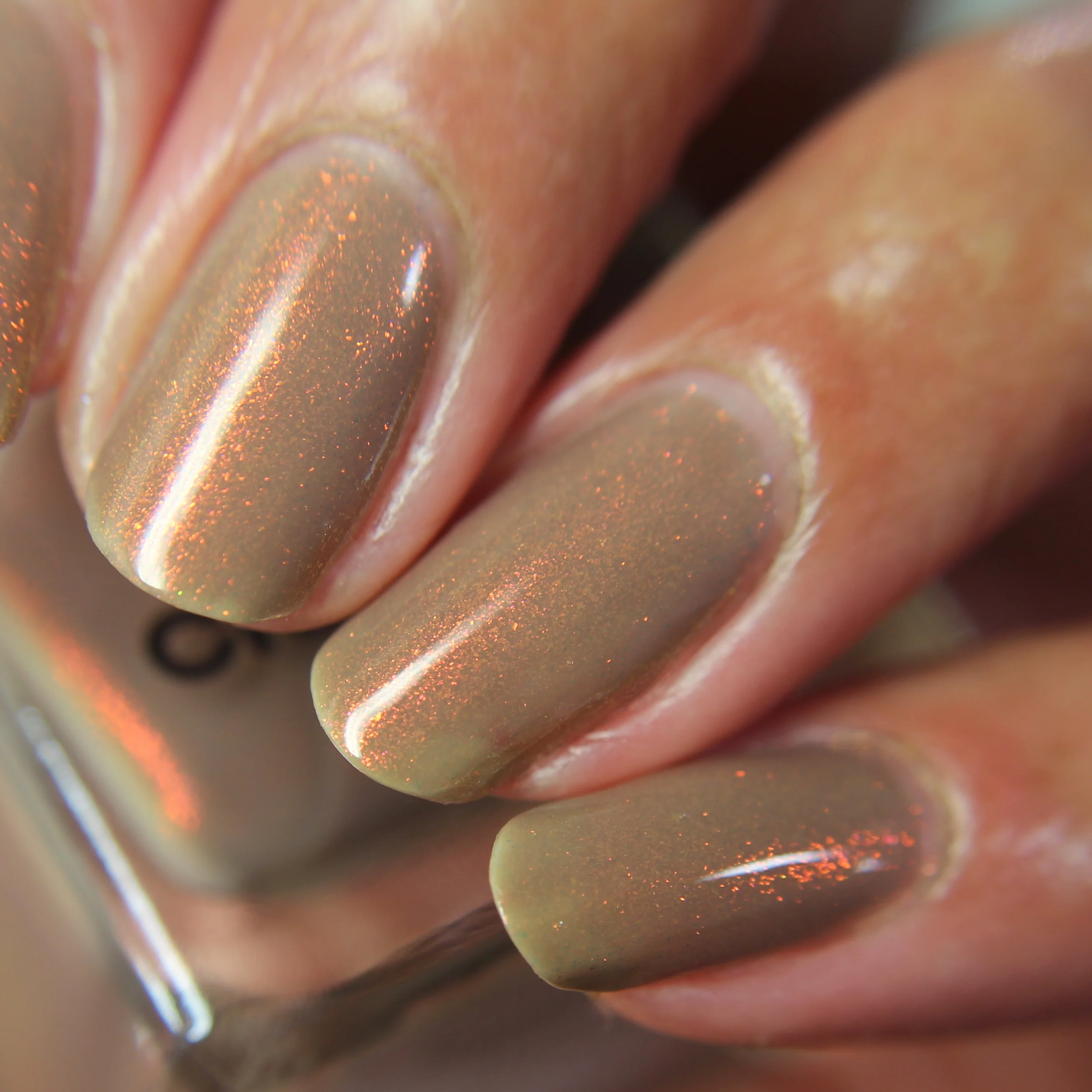 Thumbnail 24