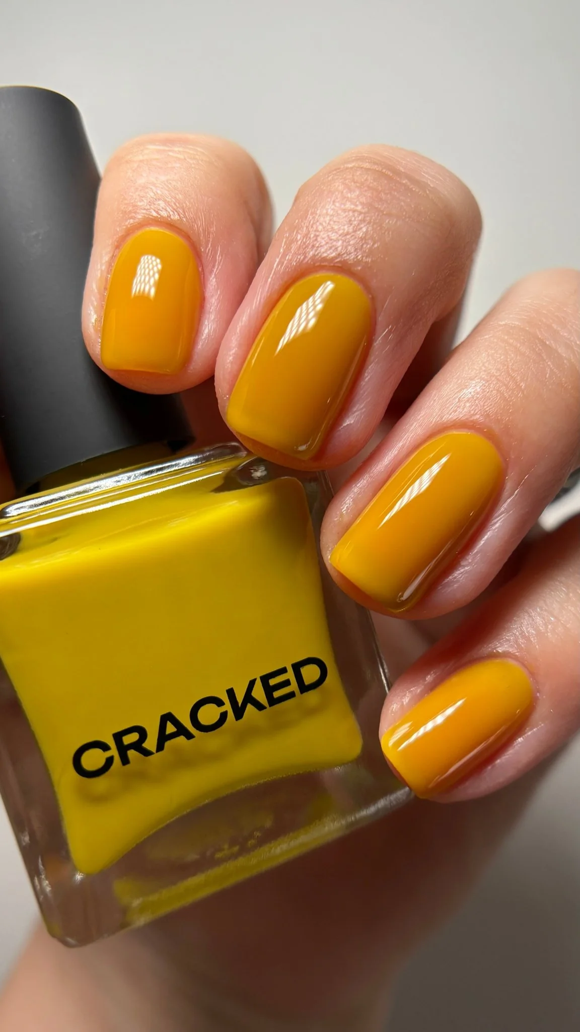 Thumbnail 15