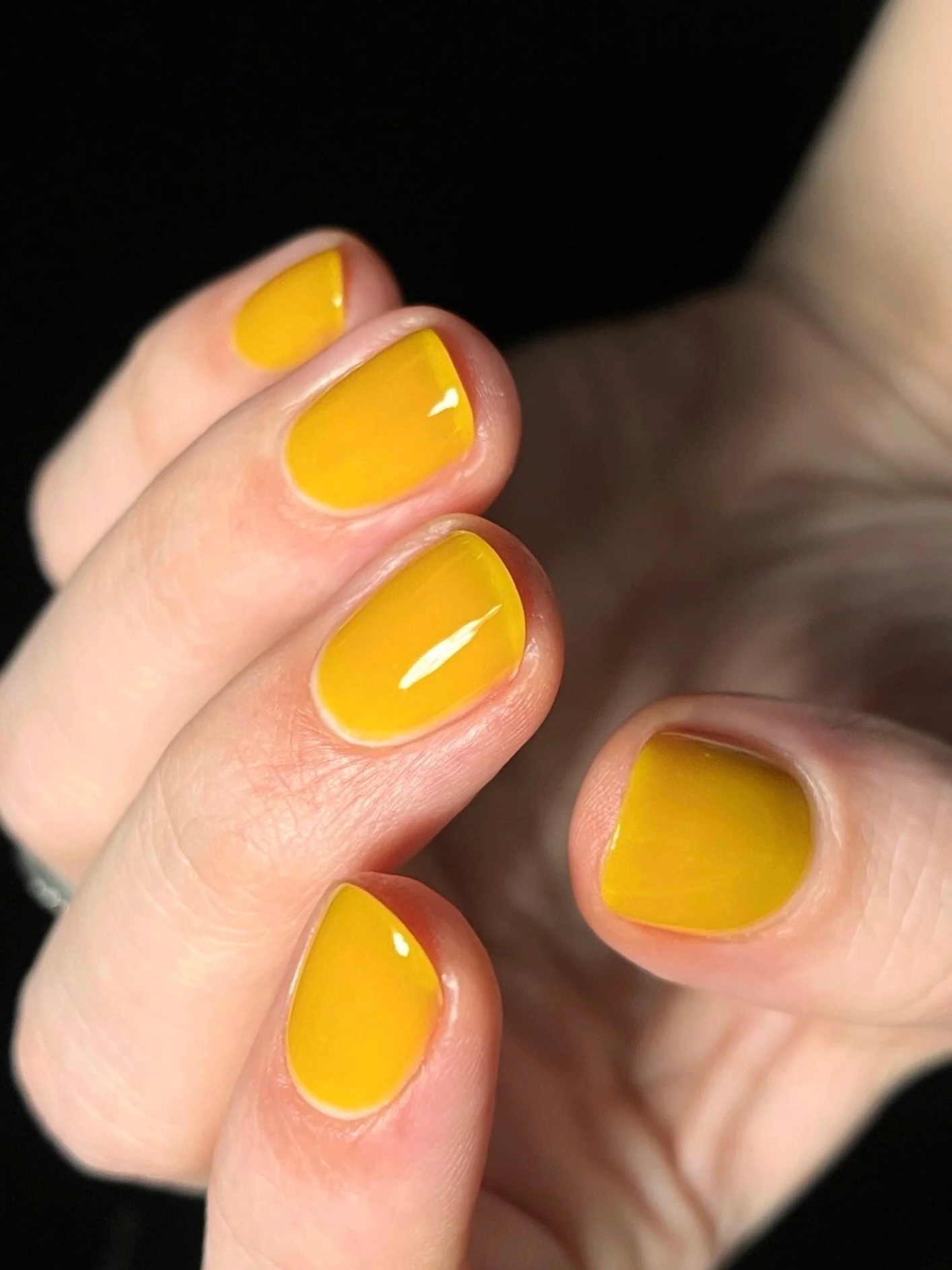 Thumbnail 26