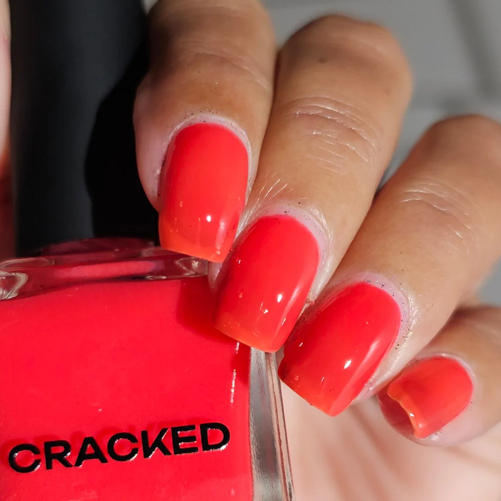 Thumbnail 14