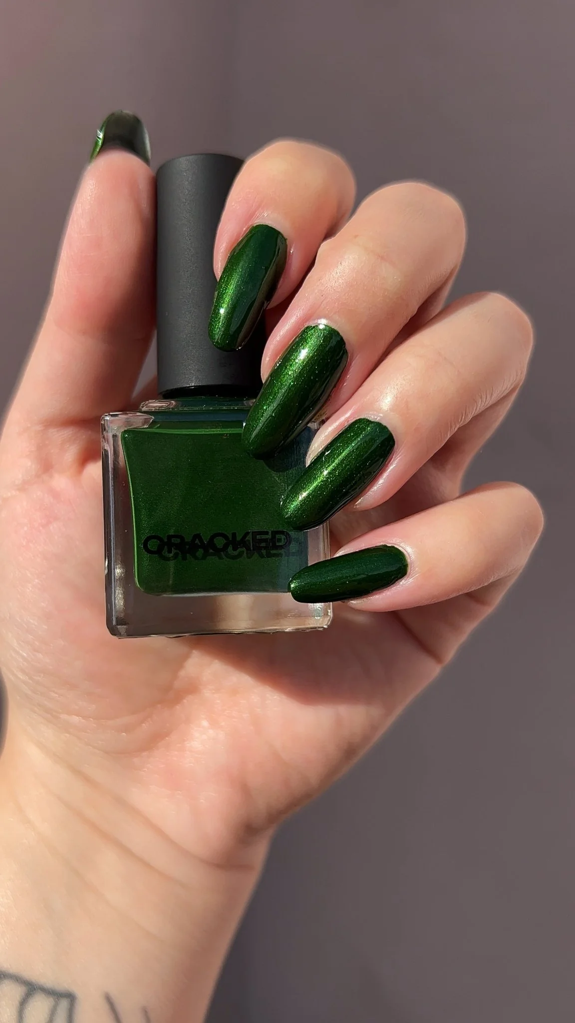 Thumbnail 28
