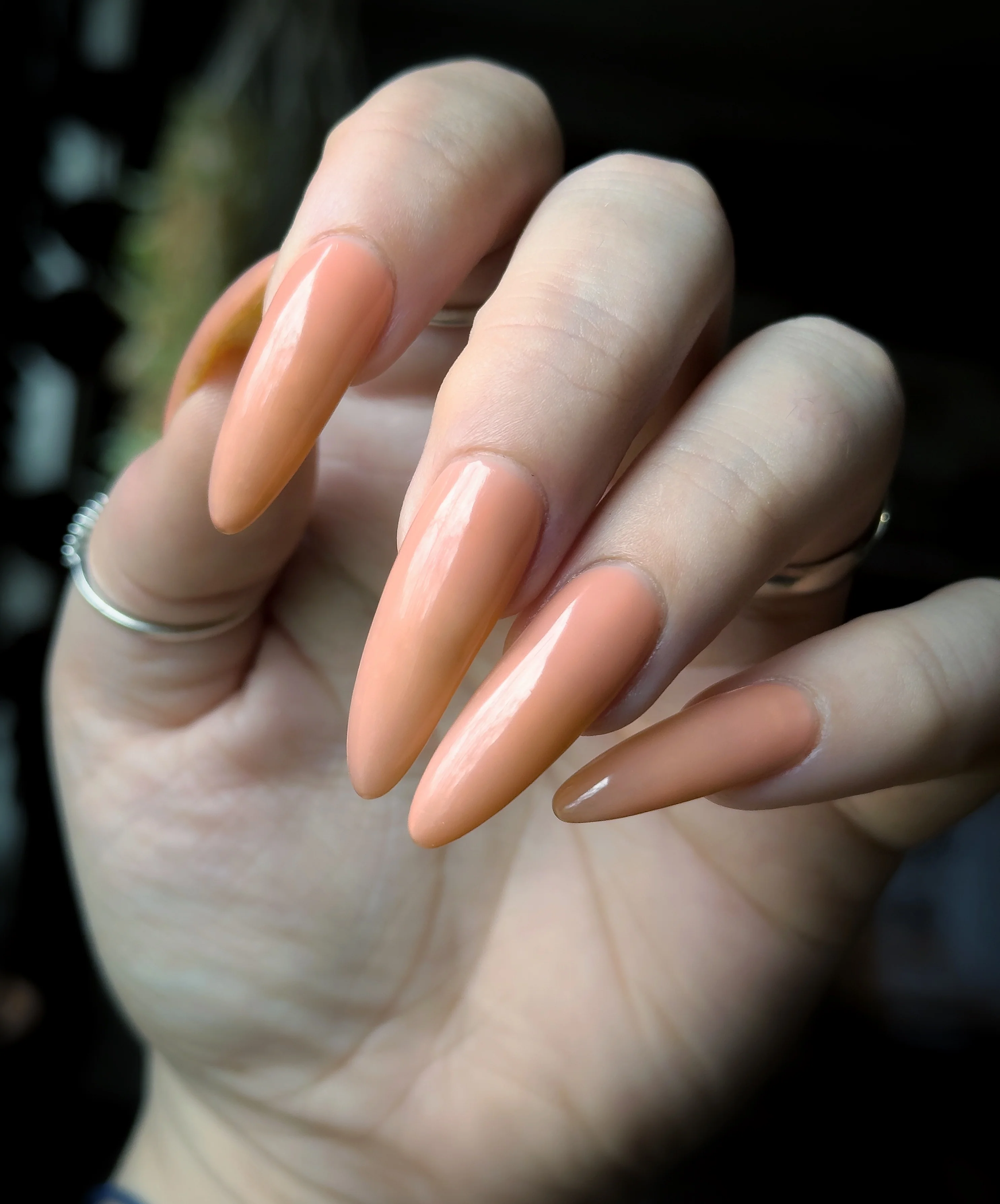 Thumbnail 15